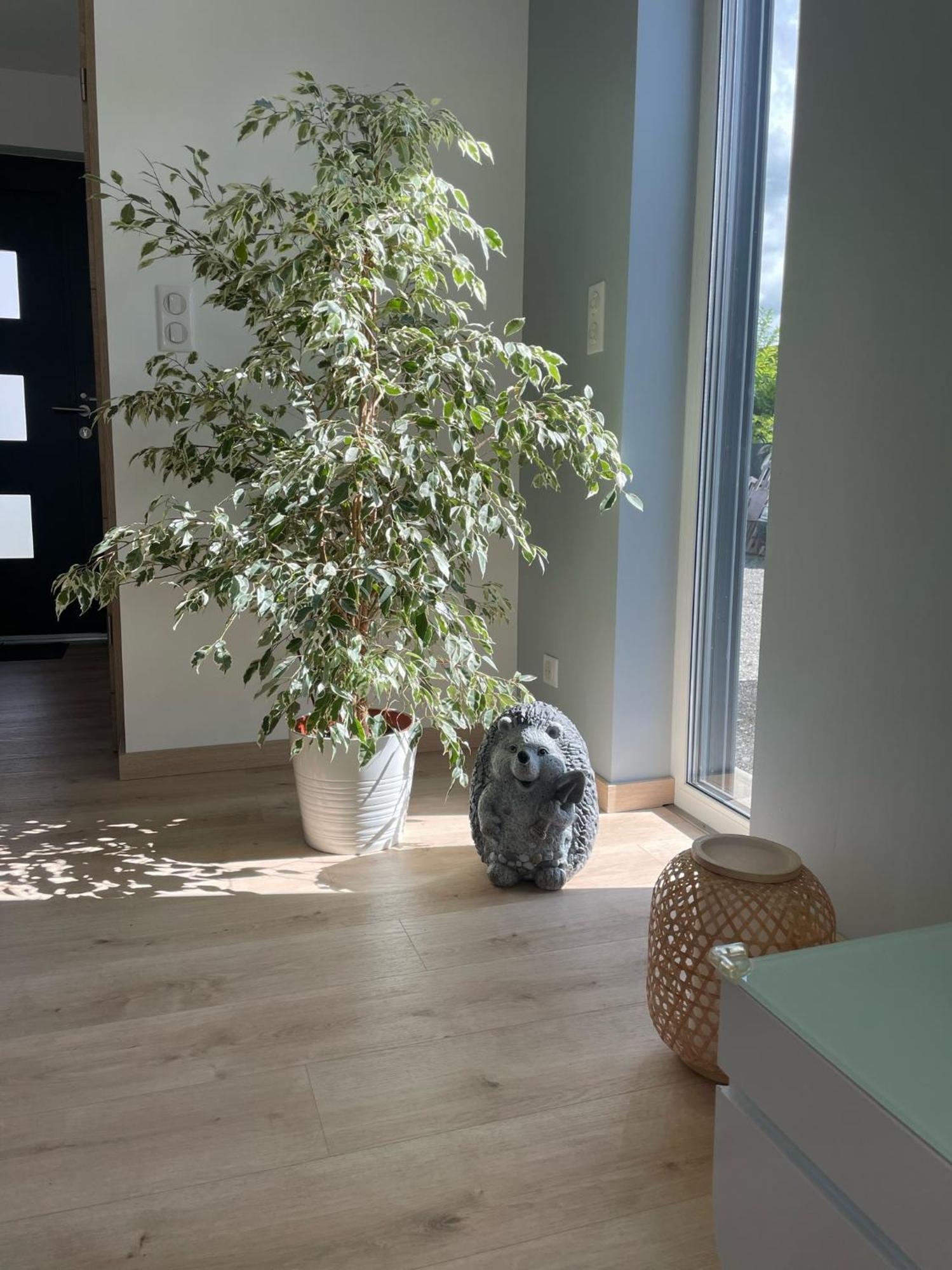 Maison Spacieuse Proche Strasbourg Ostwald Eksteriør billede